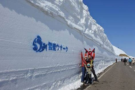 13090248_1718966145042386_485918509_n