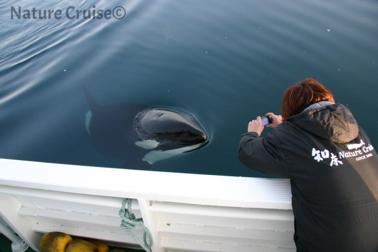 090317乗客とシャチ