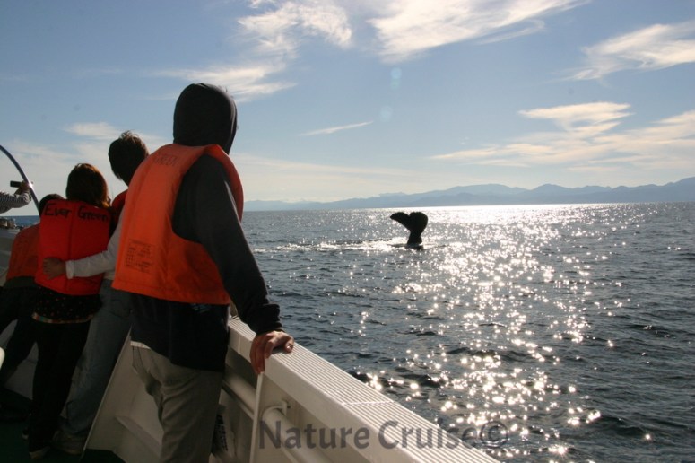 100904ゲスト&マッコウ