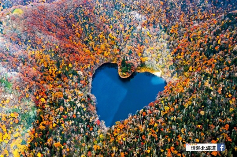 {"IPTC-DATA":"NMG","data":{"photoID":2331040}}