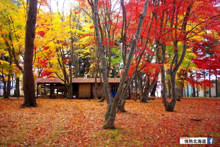 Miharashi_Park(Kousetsuen)-1