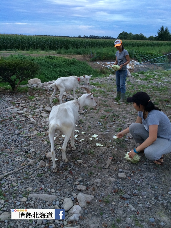 2014-08-04-18-38-11-1