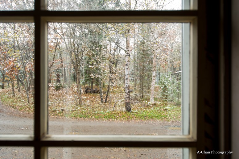 a-chan-kitano-sumai_3561