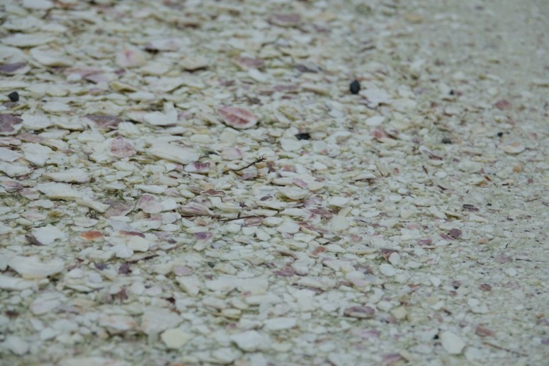 947da179-5efd-4a80-a413-c278a8f1c701